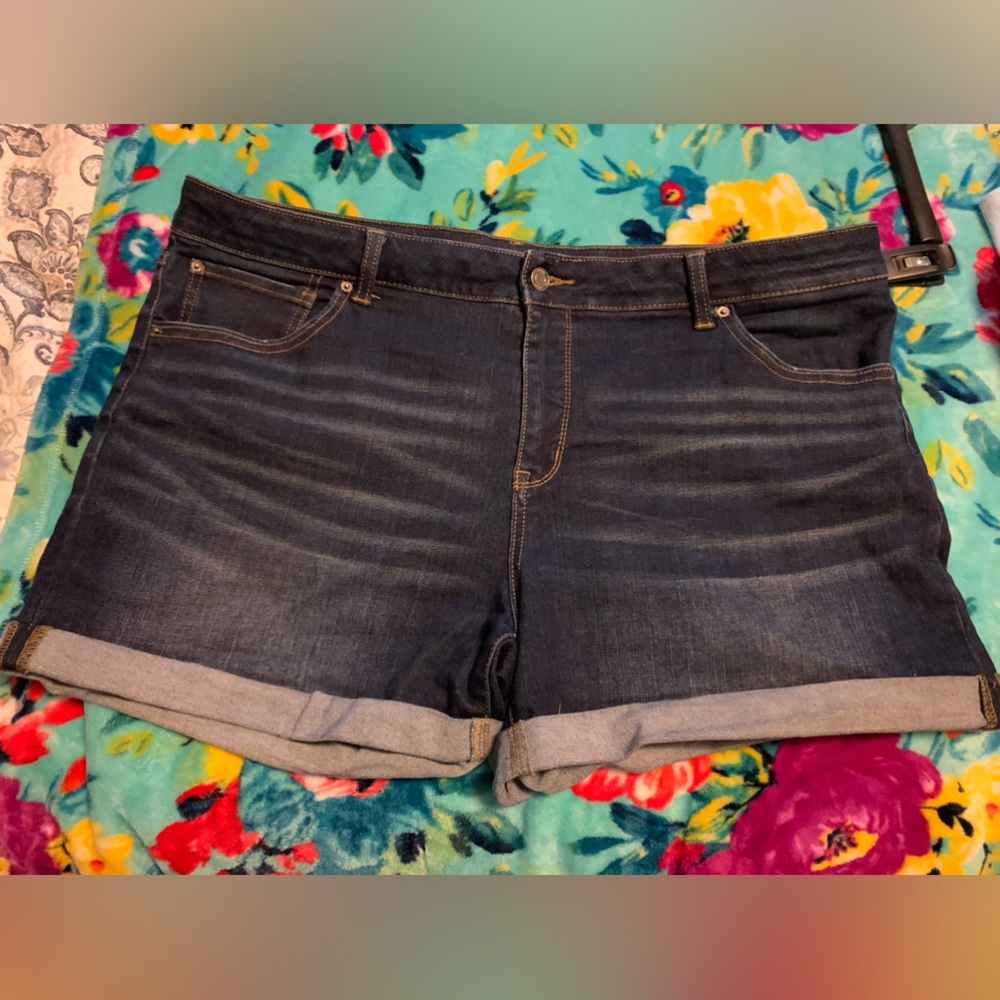 Time and Tru sz 20 shorts